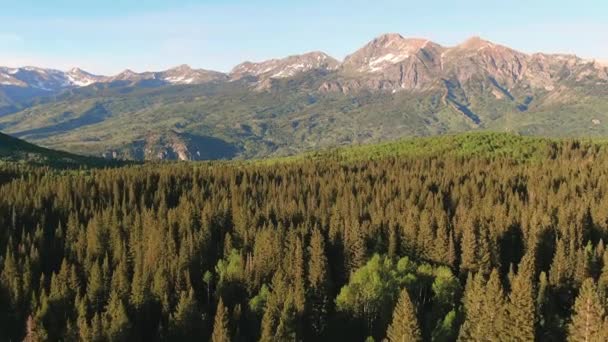 Drohne Fliegt Über Ruby Peak Mountain Valley Pine Tree Woodlands — Stockvideo