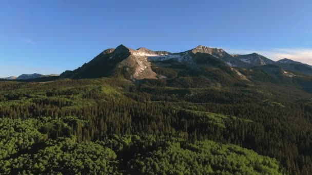 Lush Green Mountain Hills Täckt Tallar Med Östra Beckwith Mountain — Stockvideo