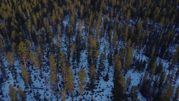 Flygande Omvänd Till Avslöja Kaskadbergen Över Deschutes National Forest Oregon — Stockvideo
