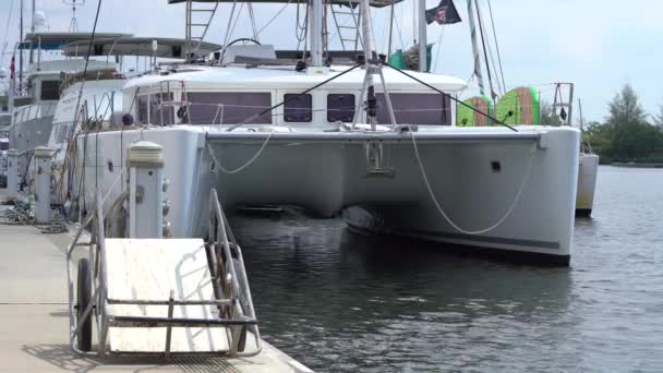 Catamarán Amarrado Puerto Deportivo Estática — Vídeos de Stock