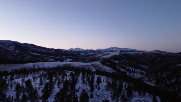 Flying Pine Trees Winter Rocky Mountains Blue Hour Aerial — Stockvideo