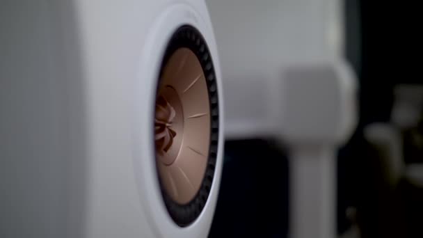 Close Zijaanzicht Van Vibrerende Kef Ls50 Meta Speaker Diafragma Afgesloten — Stockvideo