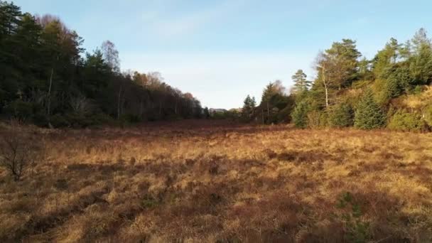 Flat Tundra Landscape Norway — Vídeos de Stock