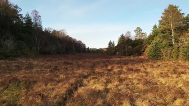 Hovering Tundra Landscape Norway — стоковое видео