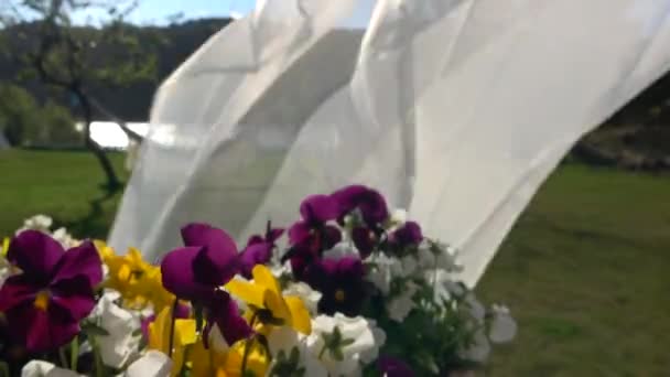 Bloemen Gordijnen Waaien Wind — Stockvideo