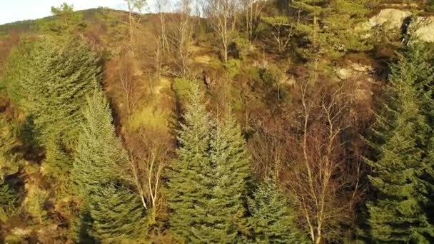 Wspinaczka Wzgórze Norweskim Krajobrazie Jesienią — Wideo stockowe
