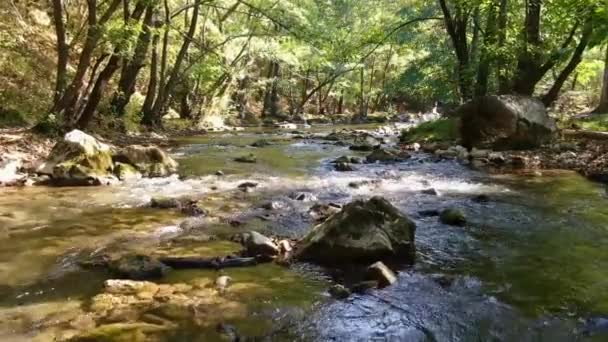 Blízko Záběru Vodního Letounu Řeka Stromy Skálami Čistá Voda — Stock video