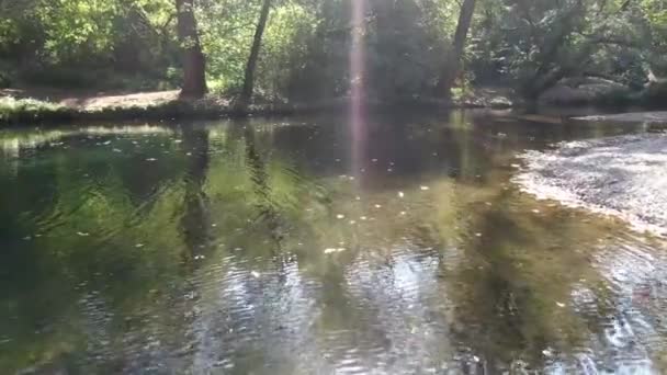 Voe Sobre Rio Limpo Montanha Pedaço Calmo Água Com Árvores — Vídeo de Stock