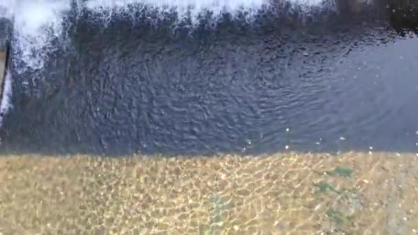 Καταρράκτης Καθαρό Ποτάμι Ηλιόλουστη Μέρα — Αρχείο Βίντεο