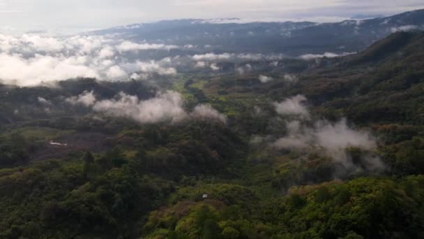 Chiapas Regnskog Landskap Mexiko Kuperad Djungel Terräng Antenn Utsikt — Stockvideo