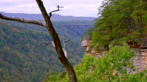 Majestic Views Bridge New River Gorge — Stockvideo