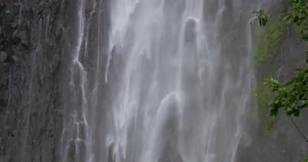 Tilt Tall Cascading Tropical Jungle Waterfall Its Source Green Plants — Video