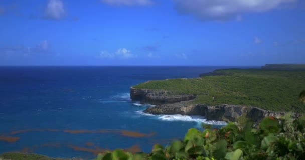 Időpont Kék Karib Tenger Sziklájáról Guadeloupe Szigetéről Levelek Fújnak Szélben — Stock videók