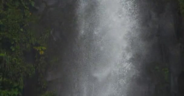 Close Tall Cascading Tropical Jungle Waterfall Tilt Falling Water — ストック動画