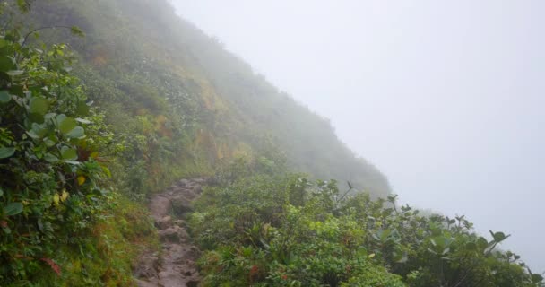 Sentier Randonnée Sur Flanc Forêt Tropicale Verdoyante Luxuriante Sentier Rocheux — Video