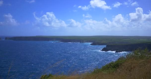 Vista Penhasco Mar Azul Caribe Ilha Guadalupe Grama Arbustos Soprando — Vídeo de Stock