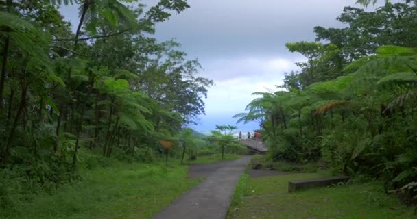 游客站在小路的尽头 从高处眺望风景 通向观点的道路 两边都是森林 远在天边的海洋 — 图库视频影像