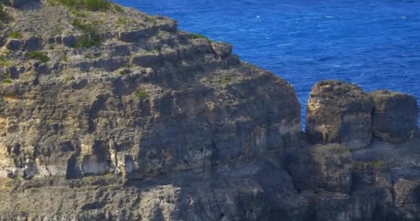Aşınmış Hattından Yeşil Çimenli Tepeye Kadar Kayalık Bir Deniz Yamacını — Stok video