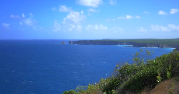 从蓝色加勒比海和瓜德罗普岛的悬崖顶上经过 草丛在风中飘扬 前景广阔 海浪冲向悬崖的一侧 — 图库视频影像