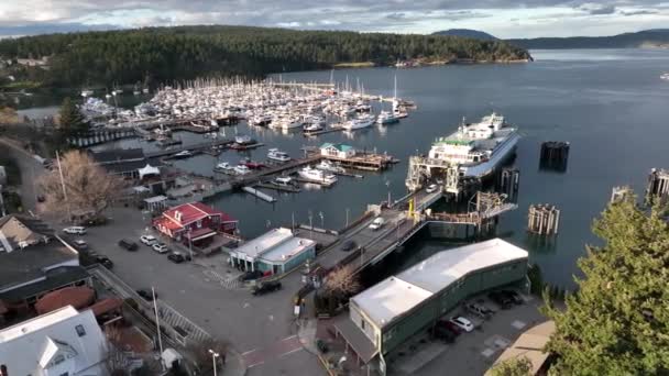 Film Anténní Dron Snímek Vykládky Trajektu Přístavu Městě Friday Harbor — Stock video