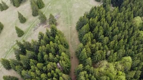スプルースの木で覆われた長いヒルサイドバイクトレイルに乗るサイクリストに続く空中ドローン Malino Brdo Resort Ruomberok Liptov スロバキア ドローン垂直ショット — ストック動画