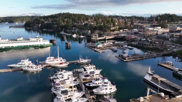 Cinematic Aerial Drone Trucking Shot Ferry Arriving Port Town Friday — Stockvideo