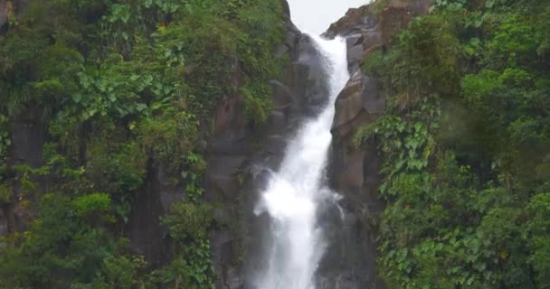 Tilt Tall Cascading Tropical Jungle Waterfall Green Plants Growing Both — Vídeo de Stock