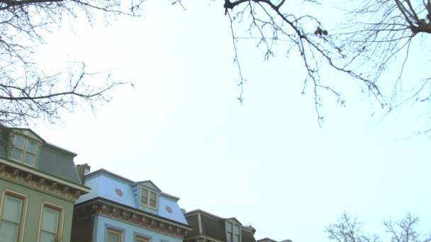 曇り空の日に米国ミズーリ州セントルイスの道路脇の住宅の行のフロントビュー — ストック動画