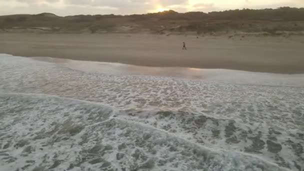 海岸を歩く人々 海上からトラックの空中ビューを回転させる — ストック動画