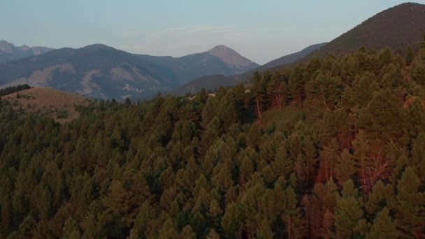 Onward Moving Aerial Shot Trees While Revealing Paradise Valley Yellowstone — Stockvideo