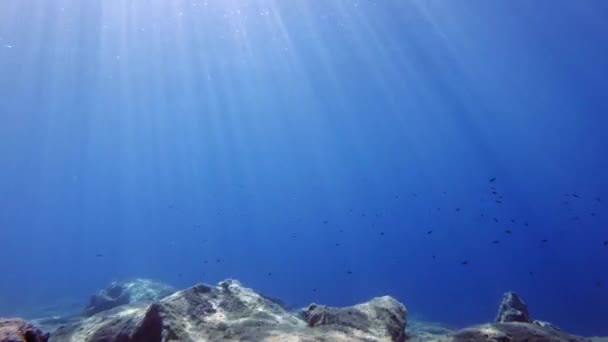 Sunlight Turquoise Water Paralia Emplisi Kefalonia Island Greece Underwater — ストック動画