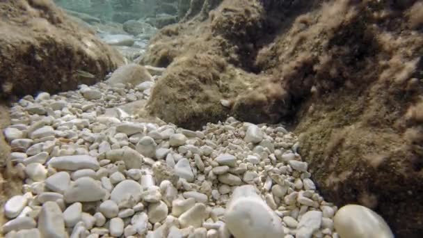 Vackra Clear Underwater Sea Med Pebbles Bottom Emplisi Beach Kefalonia — Stockvideo