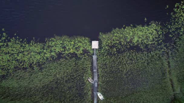 Small Overgrown Wooden Pier Two Boats Sweden Top Static Drone — Stock Video