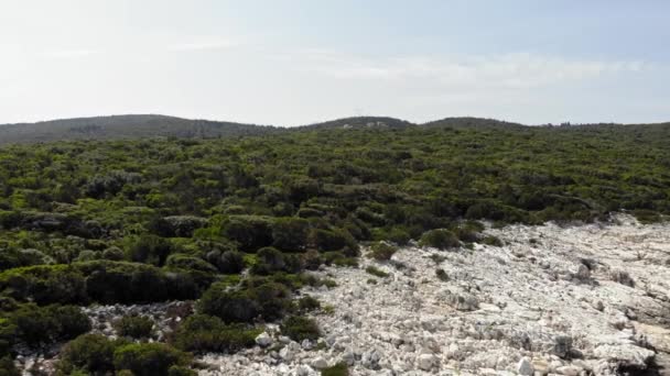 Offshore Vegetation Rocky Beach Paralia Emplisi Kefalonia Island Greece Aerial — Αρχείο Βίντεο