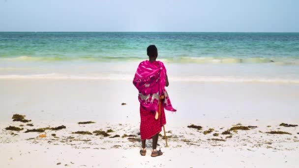 Maasai Man Pink Clothing Stick Stands Beach Watches Ocean — Stock Video