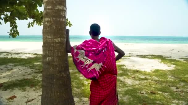 Domorodý Africký Maasai Muž Opírající Palmu Pozorující Oceán — Stock video