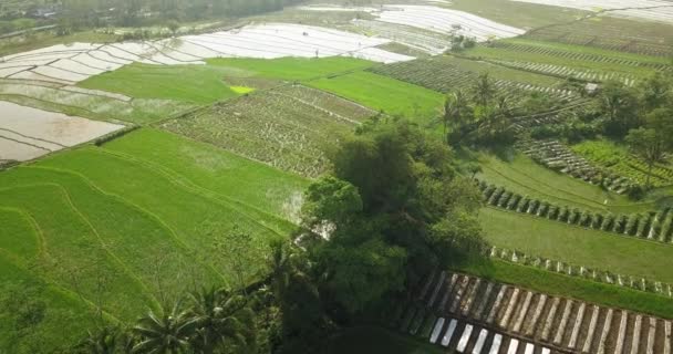 Descending Aerial View Flooded Rice Fields Cloudy Day Storm Indonesia — Vídeos de Stock