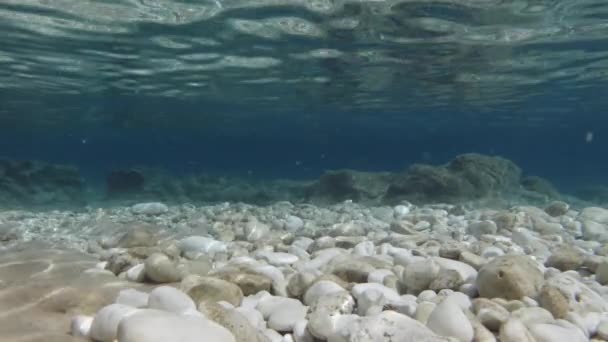 Shallow Blue Water Rocky Seabed Emplisi Beach Kefalonia Island Greece — Stock Video