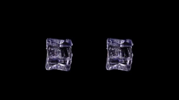 Pair Identical Ice Cubes Spinning Space Black Background Static Studio — Stock Video