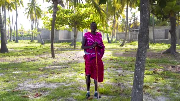 African Villager Pink Clothes Stick Standing Palm Grove — Vídeos de Stock