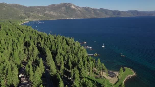 Evergreen Forest Jetty Edge Lake Tahoe Sierra Nevada Mountains Usa — Vídeo de stock