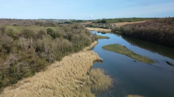 今年春天 爱尔兰班顿河上游和上游的空中拍摄到了野生河岸 森林和田野 — 图库视频影像