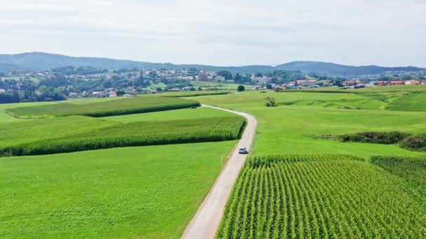 Cinematic Drone View Single Car Driving Incredible Green Rural Landscape — Stock videók