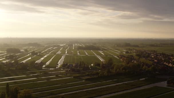 Los Vastos Pastos Verdes Canales Agua Para Riego Ganado Holanda — Vídeo de stock