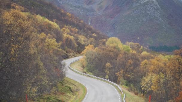 狭い道はカラフルな秋の谷を通って行きます 山を背景に 空中ビュー プッシュインショット — ストック動画