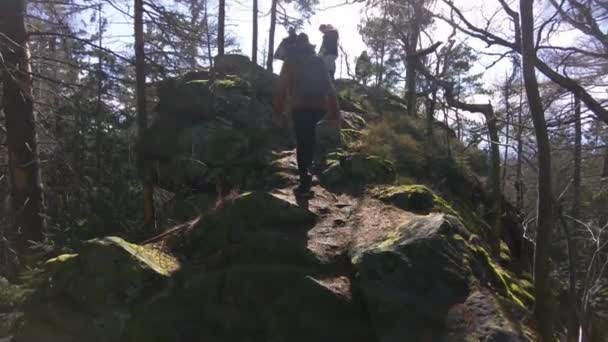 Group Hikers Climbed Top Rocky Formation Woods Sunny Spring Day — Vídeo de Stock