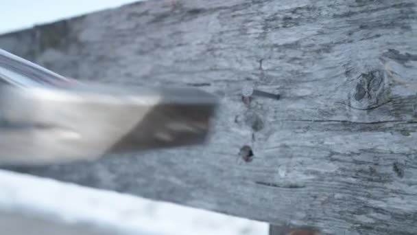 Person Schlägt Nagel Holz — Stockvideo