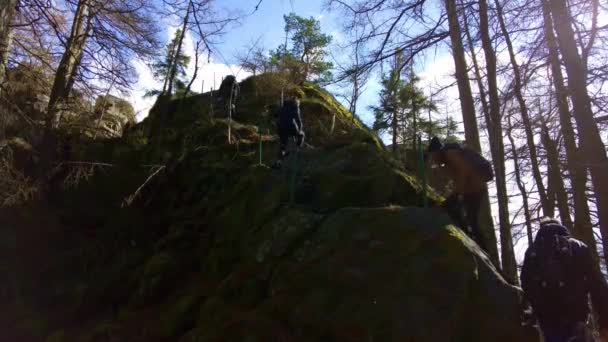 在寒冷的春天 一群背着背包的徒步旅行者爬上了一条石路 爬上了山顶 在一片森林里 白雪飘落 阳光普照 — 图库视频影像