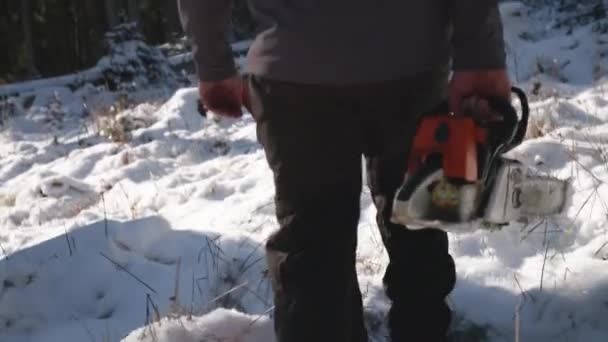Uomo Che Cammina Con Motosega Nella Neve — Video Stock