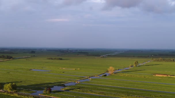 Dramatic View Green Grass Fields Cattle Canals Irrigation Brightly Lit — Vídeo de Stock